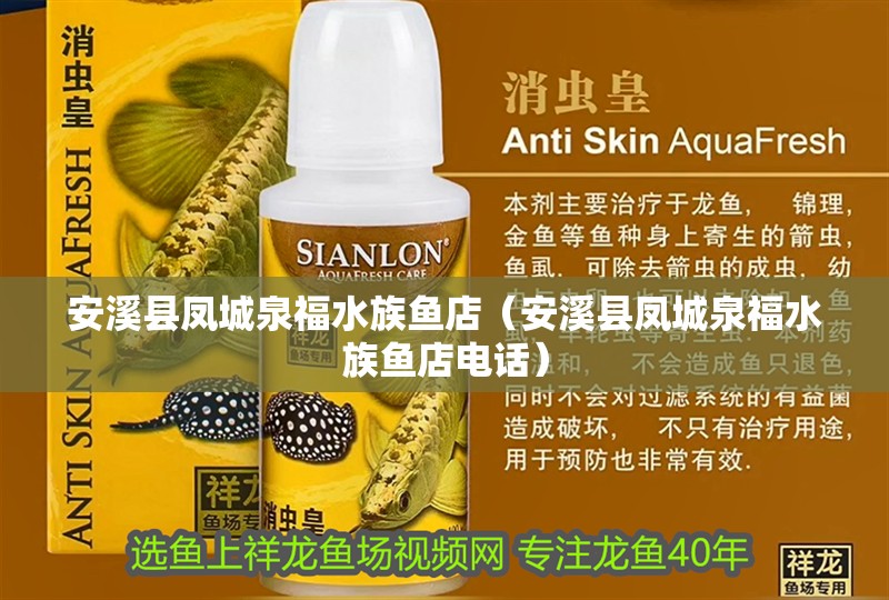 安溪縣鳳城泉福水族魚店（安溪縣鳳城泉福水族魚店電話）