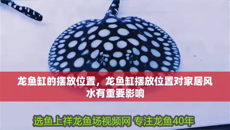 龍魚缸的擺放位置，龍魚缸擺放位置對家居風水有重要影響