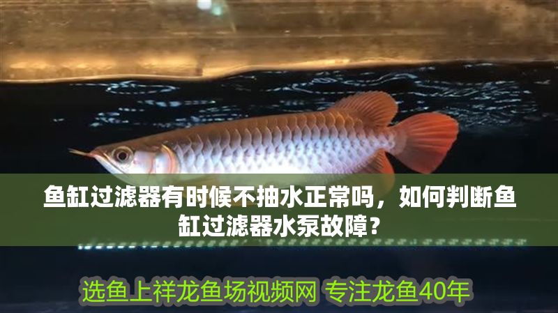 魚缸過濾器有時候不抽水正常嗎，如何判斷魚缸過濾器水泵故障？