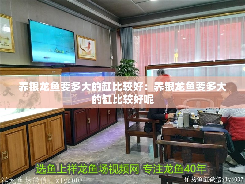 養(yǎng)銀龍魚要多大的缸比較好：養(yǎng)銀龍魚要多大的缸比較好呢