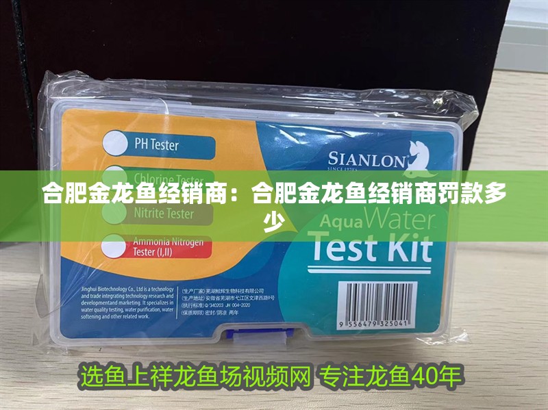 合肥金龍魚(yú)經(jīng)銷商:合肥金龍魚(yú)經(jīng)銷商罰款多少 水族問(wèn)答 合肥金龍魚(yú)經(jīng)銷商:合肥金龍魚(yú)經(jīng)銷商罰款多少 合肥金龍魚(yú)經(jīng)銷商:合肥金龍魚(yú)經(jīng)銷商罰款多少 水族問(wèn)答