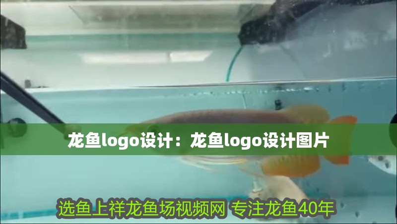 龍魚logo設計：龍魚logo設計圖片