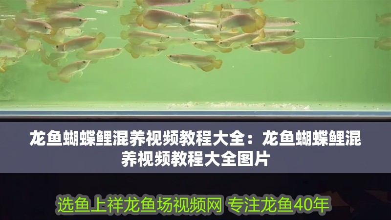 圓柱魚缸安裝方法圖解法（圓柱魚缸安裝方法圖解法視頻） 圓柱魚缸安裝方法圖解法（圓柱魚缸安裝方法圖解法視頻） 魚缸百科