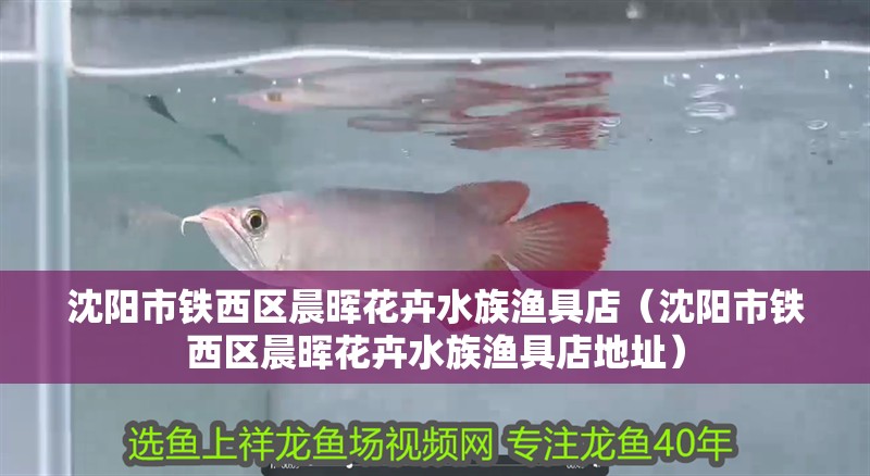 沈陽市鐵西區(qū)晨暉花卉水族漁具店(沈陽市鐵西區(qū)晨暉花卉水族漁具店地址) 全國水族館企業(yè)名錄 第1張 沈陽市鐵西區(qū)晨暉花卉水族漁具店(沈陽市鐵西區(qū)晨暉花卉水族漁具店地址) 沈陽市鐵西區(qū)晨暉花卉水族漁具店(沈陽市鐵西區(qū)晨暉花卉水族漁具店地址) 全國水族館企業(yè)名錄 第1張