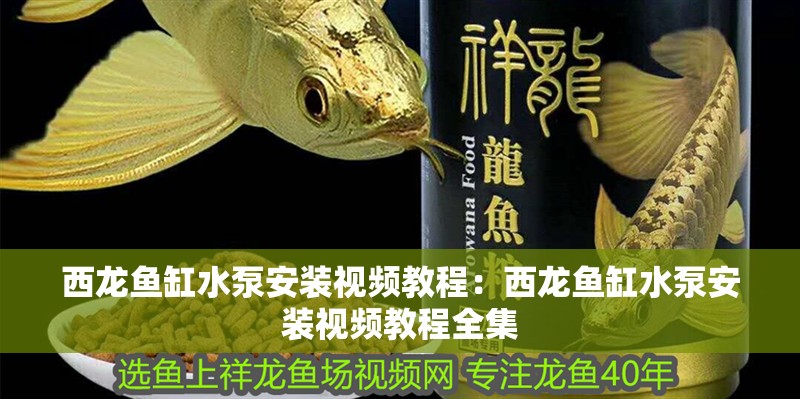 西龍魚缸水泵安裝視頻教程：西龍魚缸水泵安裝視頻教程全集 西龍魚缸水泵安裝視頻教程：西龍魚缸水泵安裝視頻教程全集 水族問答