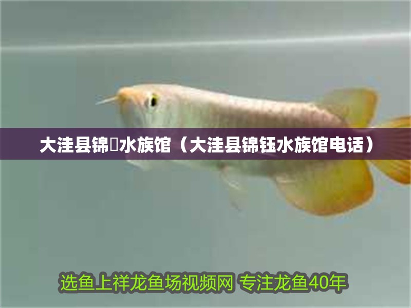 <strong><mark>大洼</mark></strong>縣錦鈺水族館（<strong><mark>大洼</mark></strong>縣錦鈺水族館電話）