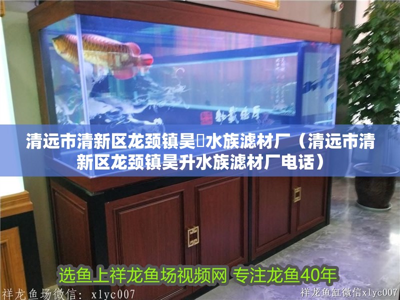 清遠市清新區龍頸鎮昊昇水族濾材廠（清遠市清新區龍頸鎮昊升水族濾材廠電話） 清遠市清新區龍頸鎮昊昇水族濾材廠（清遠市清新區龍頸鎮昊升水族濾材廠電話） 全國水族館企業名錄 第1張