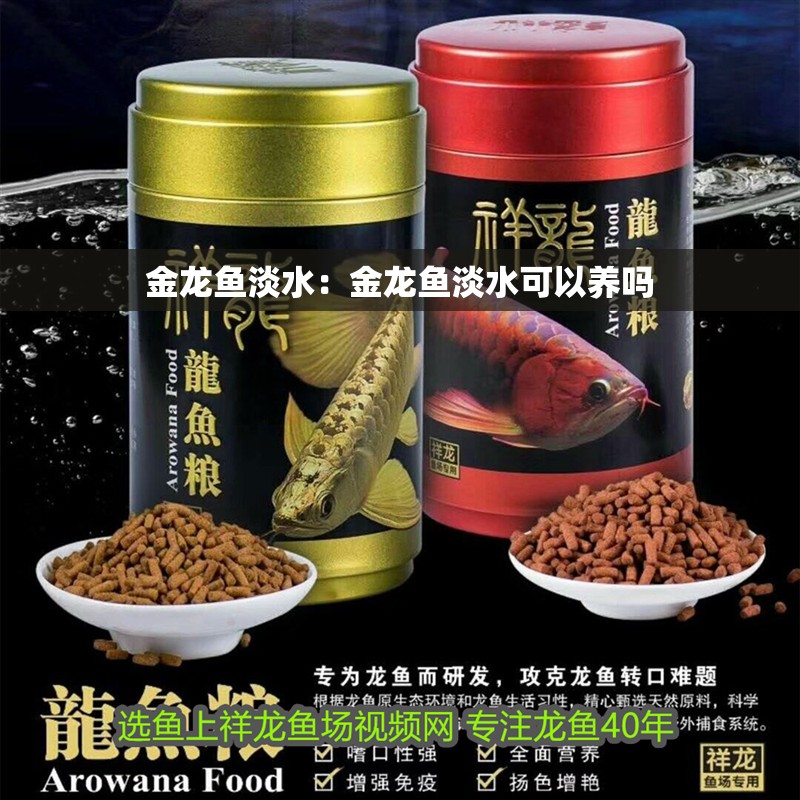 金龍魚淡水：金龍魚淡水可以養(yǎng)嗎
