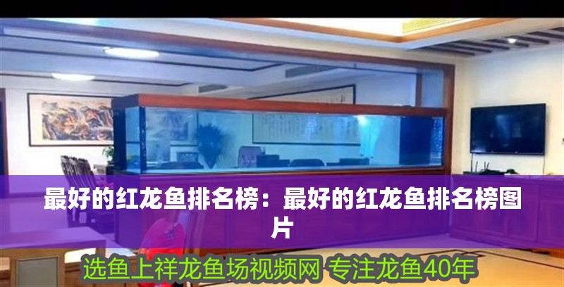 最好的紅龍魚排名榜：最好的紅龍魚排名榜圖片 最好的紅龍魚排名榜：最好的紅龍魚排名榜圖片 水族問答