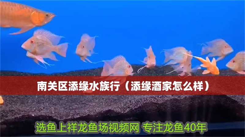 南關區添緣水族行（添緣酒家怎么樣）