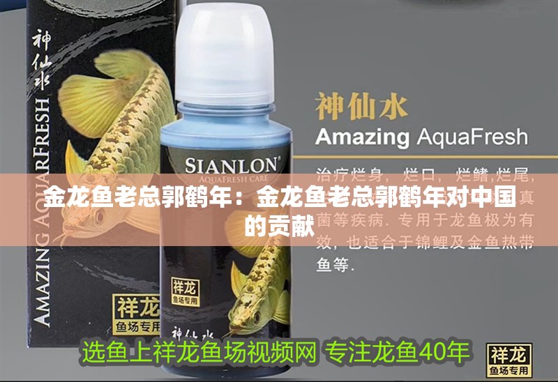 金龍魚(yú)老總郭鶴年：金龍魚(yú)老總郭鶴年對(duì)中國(guó)的貢獻(xiàn)