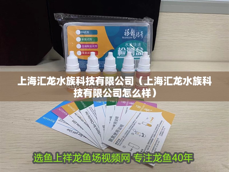 上海匯龍水族科技有限公司（上海匯龍水族科技有限公司怎么樣）