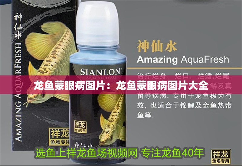 龍魚蒙眼病圖片：龍魚蒙眼病圖片大全