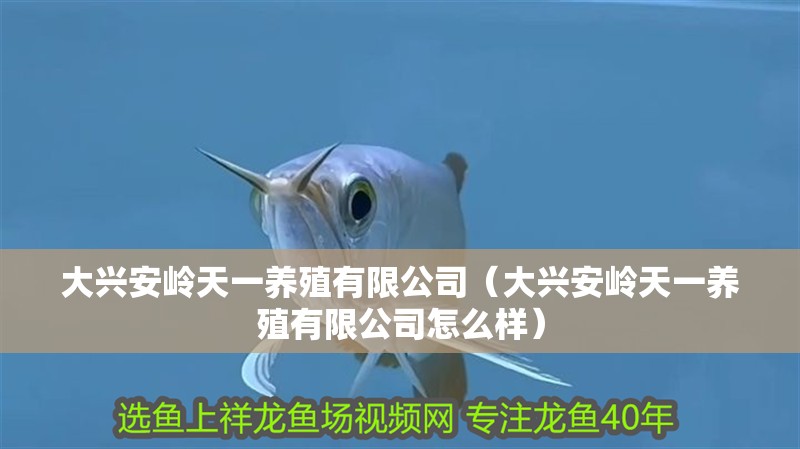 大興安嶺天一養殖有限公司（大興安嶺天一養殖有限公司怎么樣） 大興安嶺天一養殖有限公司（大興安嶺天一養殖有限公司怎么樣） 全國水族館企業名錄