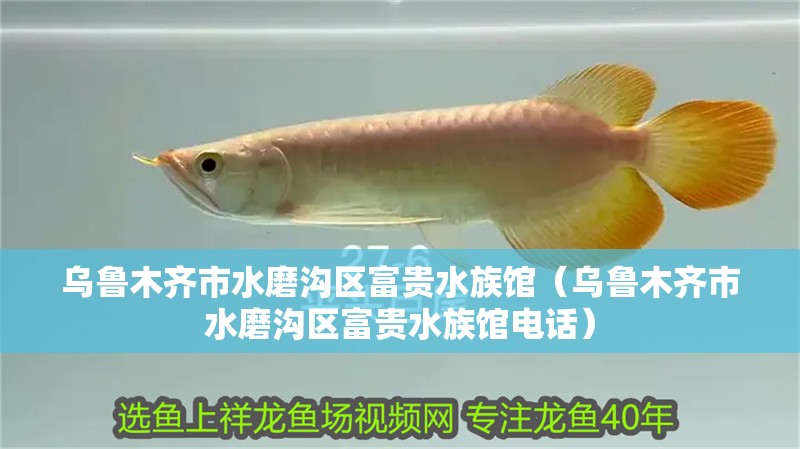 烏魯木齊市水磨溝區(qū)富貴水族館（烏魯木齊市水磨溝區(qū)富貴水族館電話）