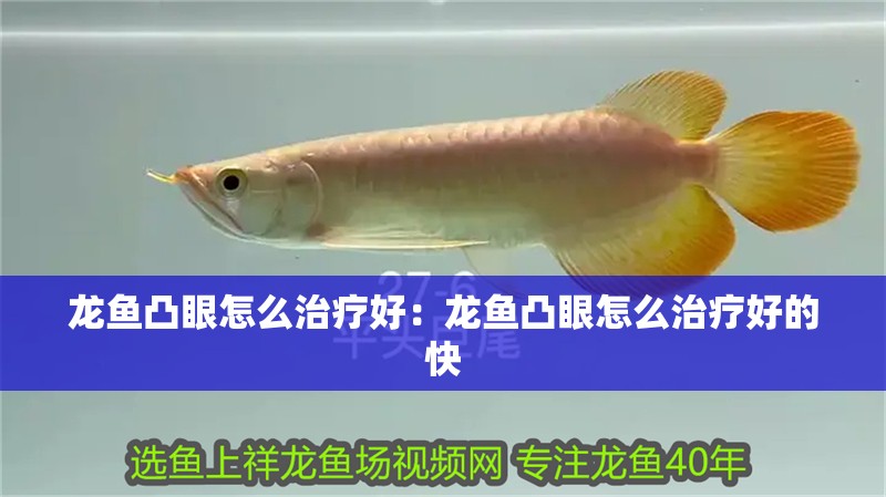 龍魚凸眼怎么治療好：龍魚凸眼怎么治療好的快 龍魚凸眼怎么治療好：龍魚凸眼怎么治療好的快 水族問答