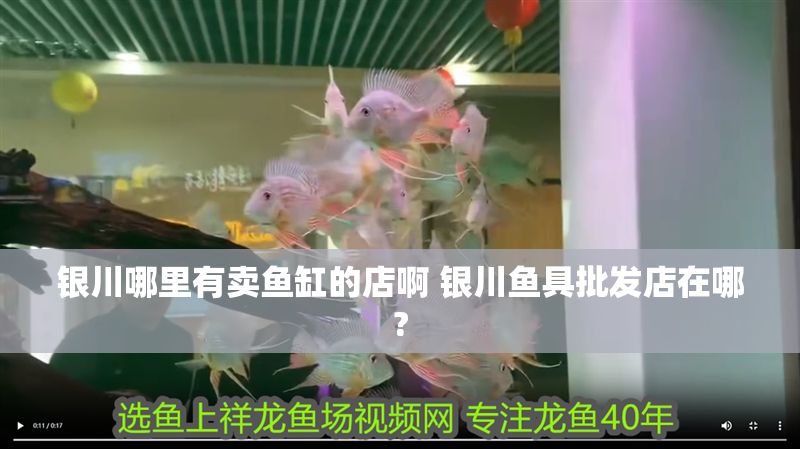 銀川哪里有賣魚缸的店啊 銀川魚具批發(fā)店在哪?