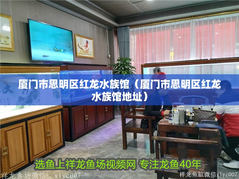 廈門市思明區紅龍水族館（廈門市思明區紅龍水族館地址） 廈門市思明區紅龍水族館（廈門市思明區紅龍水族館地址） 全國水族館企業名錄 第1張