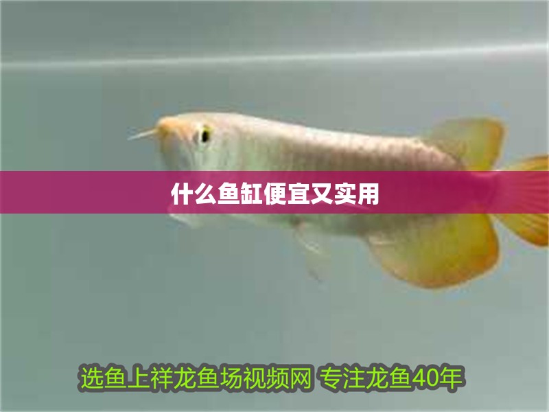 什么魚缸便宜又實用