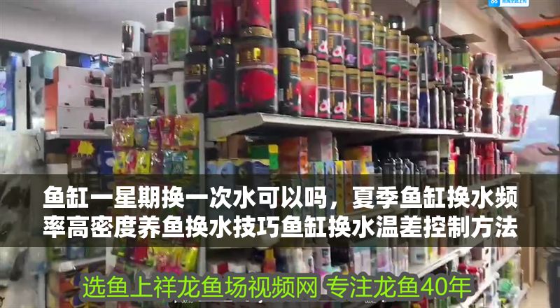 魚缸一星期換一次水可以嗎，夏季魚缸換水頻率高密度養魚換水技巧魚缸換水溫差控制方法