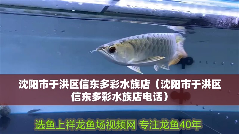 沈陽市于洪區信東多彩水族店（沈陽市于洪區信東多彩水族店電話）