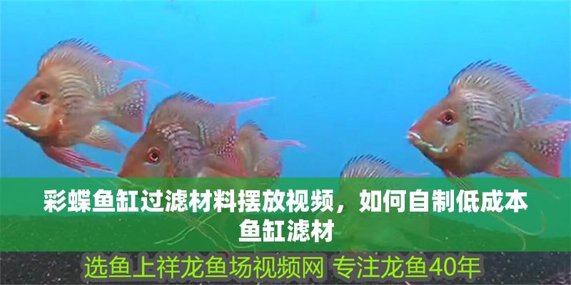 彩蝶魚缸過濾材料擺放視頻，如何自制低成本魚缸濾材