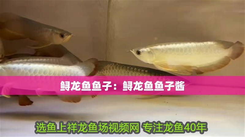 鱘龍魚魚子：鱘龍魚魚子醬
