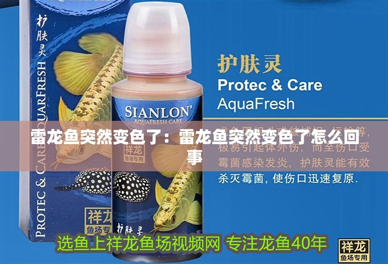 雷龍魚突然變色了:雷龍魚突然變色了怎么回事 水族問答 雷龍魚突然變色了:雷龍魚突然變色了怎么回事 雷龍魚突然變色了:雷龍魚突然變色了怎么回事 水族問答