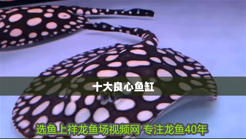 十大良心魚缸
