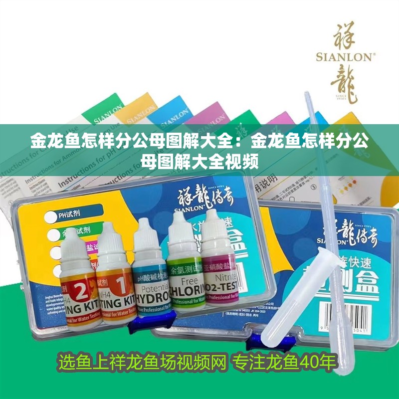 金龍魚怎樣分公母圖解大全：金龍魚怎樣分公母圖解大全視頻