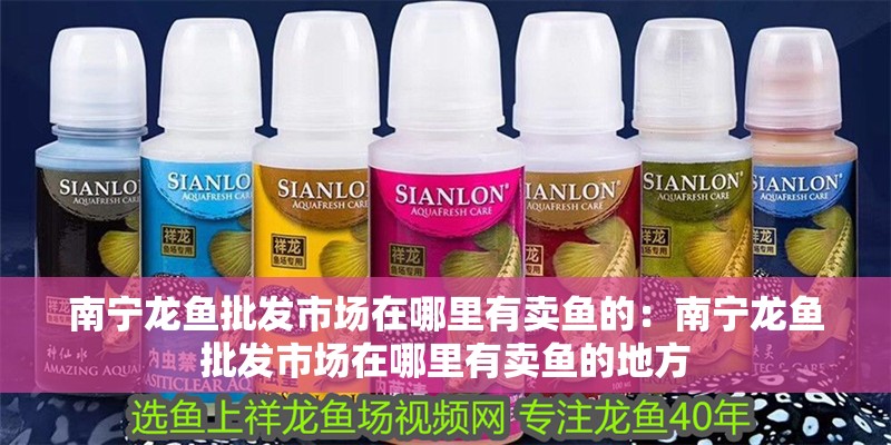 南寧龍魚批發市場在哪里有賣魚的：南寧龍魚批發市場在哪里有賣魚的地方