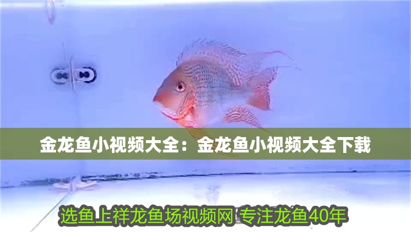 魚缸為什么會起綠藻（魚缸為什么會起綠藻呢） 魚缸為什么會起綠藻（魚缸為什么會起綠藻呢） 魟魚百科