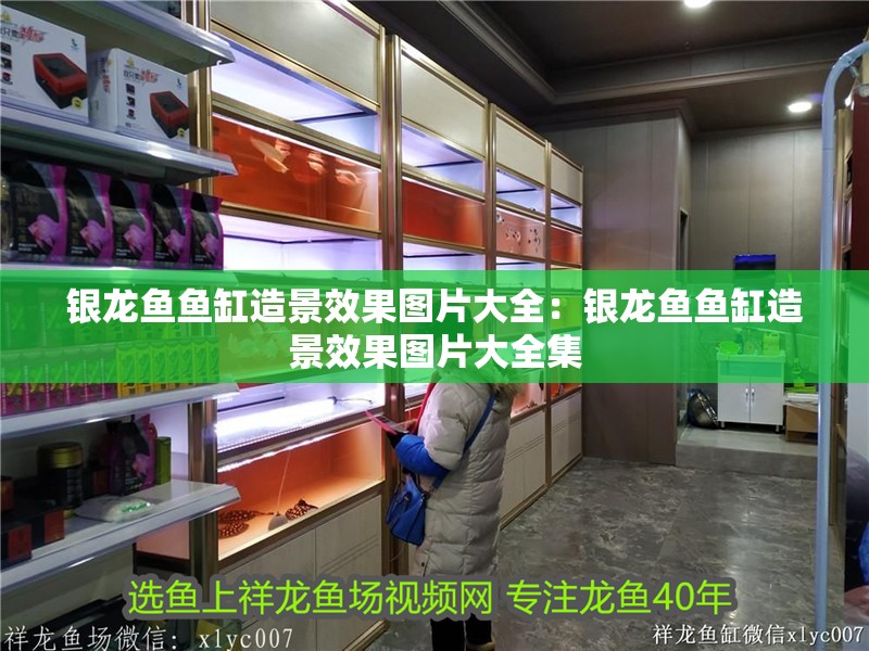 銀龍魚魚缸造景效果圖片大全：銀龍魚魚缸造景效果圖片大全集