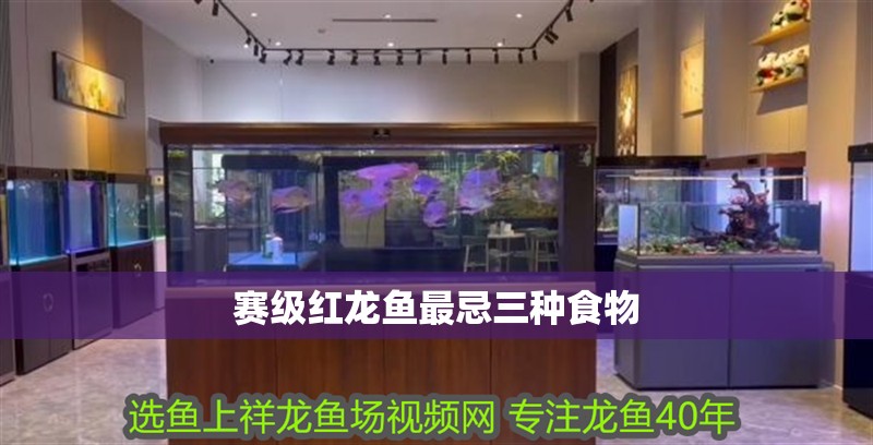 賽級紅龍魚最忌三種食物