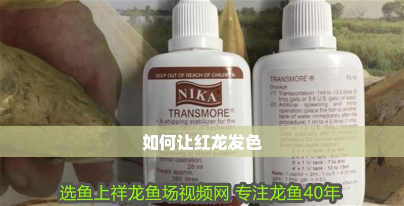 如何讓紅龍發色