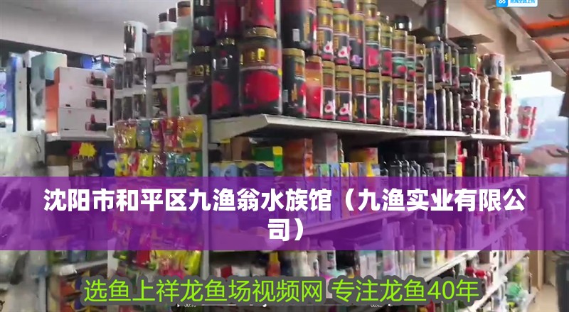 沈陽市和平區九漁翁水族館（九漁實業有限公司） 沈陽市和平區九漁翁水族館（九漁實業有限公司） 全國水族館企業名錄 第1張