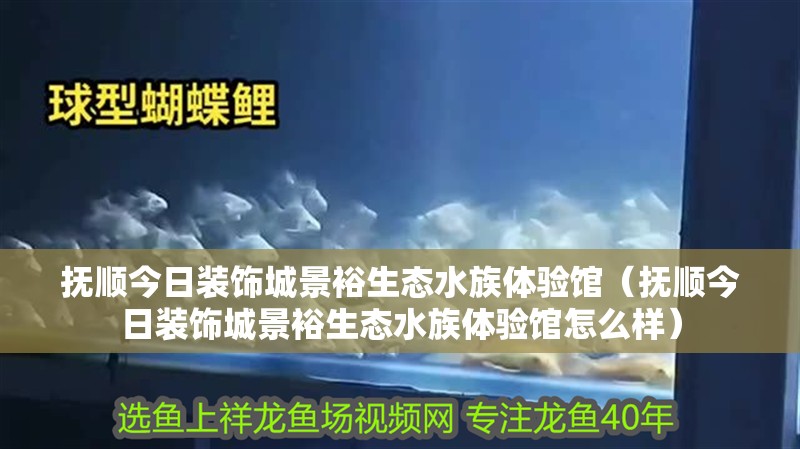 撫順今日裝飾城景裕生態水族體驗館（撫順今日裝飾城景裕生態水族體驗館怎么樣）