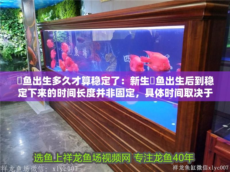 魟魚出生多久才算穩定了：新生魟魚出生后到穩定下來的時間長度并非固定，具體時間取決于多種因素
