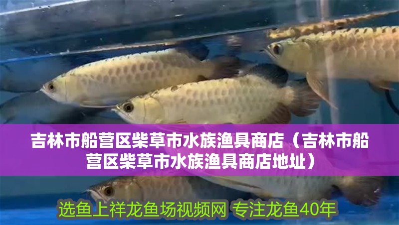 吉林市船營區柴草市水族漁具商店（吉林市船營區柴草市水族漁具商店地址）