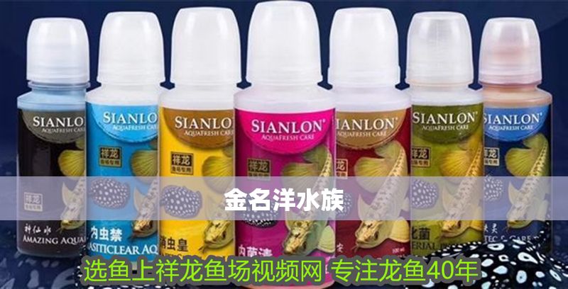 金名洋水族 金名洋水族 虎魚百科 第2張