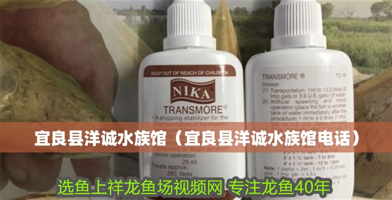 宜良縣洋誠水族館（宜良縣洋誠水族館電話）