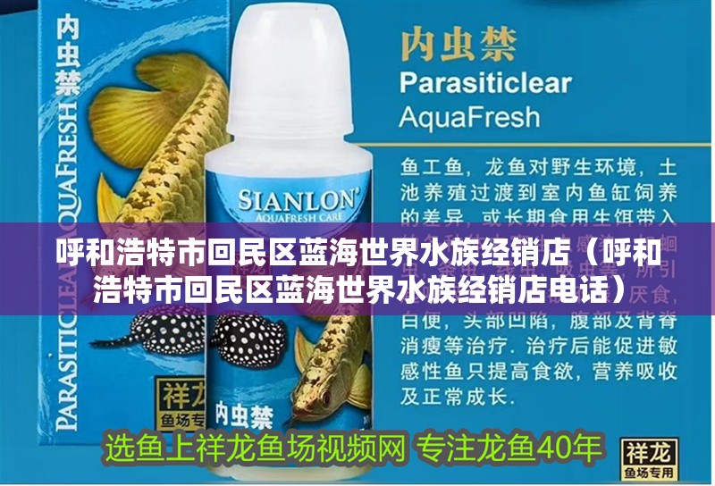 呼和浩特市回民區(qū)藍(lán)海世界水族經(jīng)銷(xiāo)店（呼和浩特市回民區(qū)藍(lán)海世界水族經(jīng)銷(xiāo)店電話(huà)）