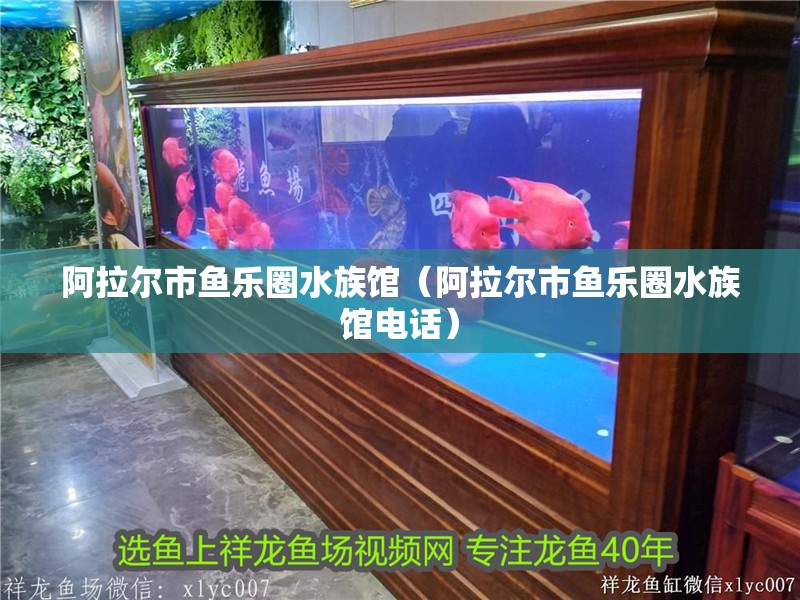 阿拉爾市魚樂圈水族館（阿拉爾市魚樂圈水族館電話）