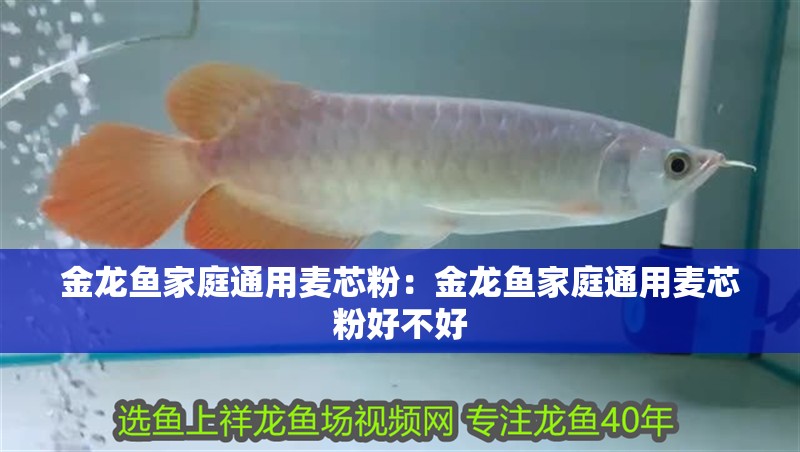 金龍魚家庭通用麥芯粉：金龍魚家庭通用麥芯粉好不好