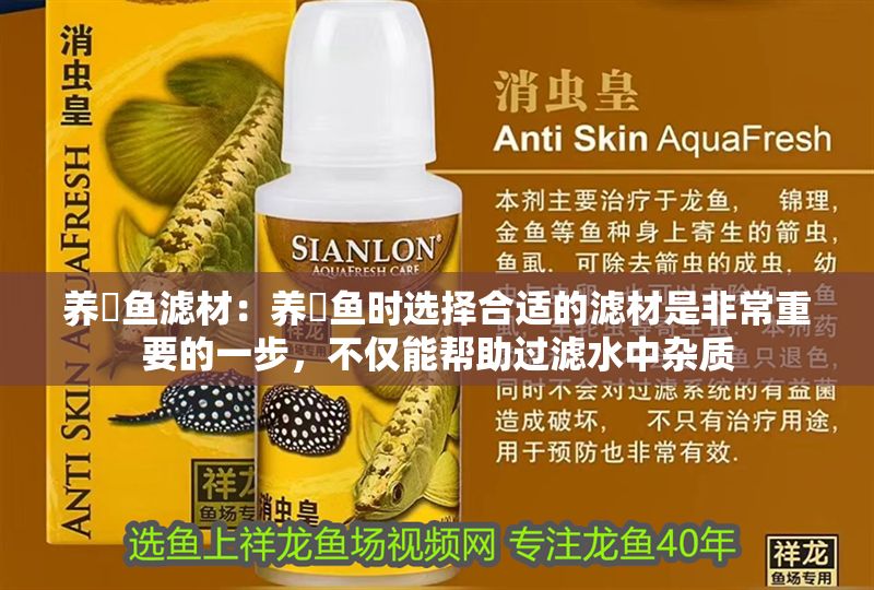 養(yǎng)魟魚濾材:養(yǎng)魟魚時選擇合適的濾材是非常重要的一步,不僅能幫助過濾水中雜質 魟魚百科 第2張 養(yǎng)魟魚濾材:養(yǎng)魟魚時選擇合適的濾材是非常重要的一步,不僅能幫助過濾水中雜質 養(yǎng)魟魚濾材:養(yǎng)魟魚時選擇合適的濾材是非常重要的一步,不僅能幫助過濾水中雜質 魟魚百科 第2張