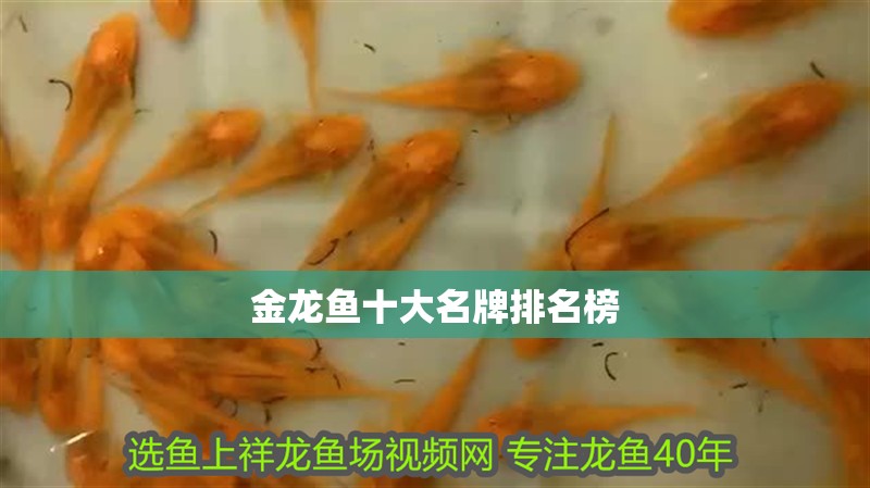 金龍魚十大名牌排名榜 龍魚百科 第1張 金龍魚十大名牌排名榜 金龍魚十大名牌排名榜 龍魚百科 第1張