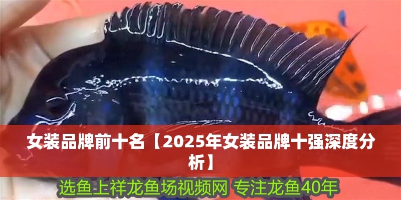 女裝品牌前十名【2025年女裝品牌十強深度分析】