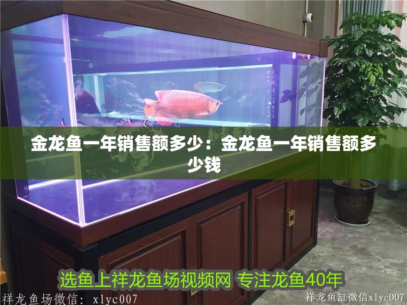 金龍魚一年銷售額多少:金龍魚一年銷售額多少錢 水族問答 金龍魚一年銷售額多少:金龍魚一年銷售額多少錢 金龍魚一年銷售額多少:金龍魚一年銷售額多少錢 水族問答