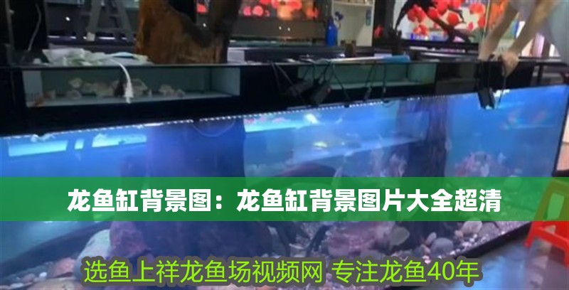 龍魚缸背景圖：龍魚缸背景圖片大全超清