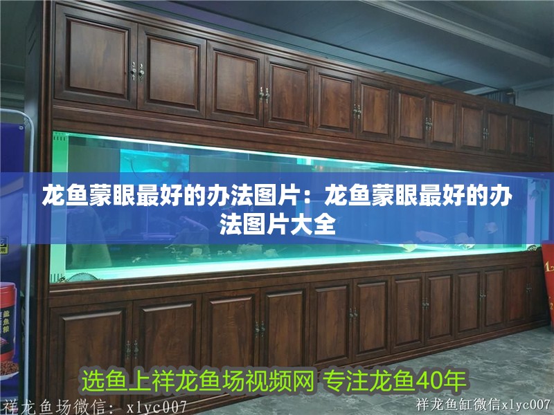 龍魚蒙眼最好的辦法圖片：龍魚蒙眼最好的辦法圖片大全